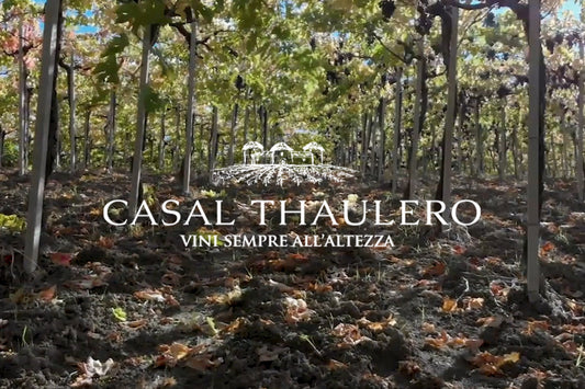 CASAL THAULERO Abruzzen | Neu im Sortiment!