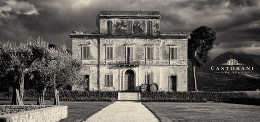 CASTORANI DAL 1793