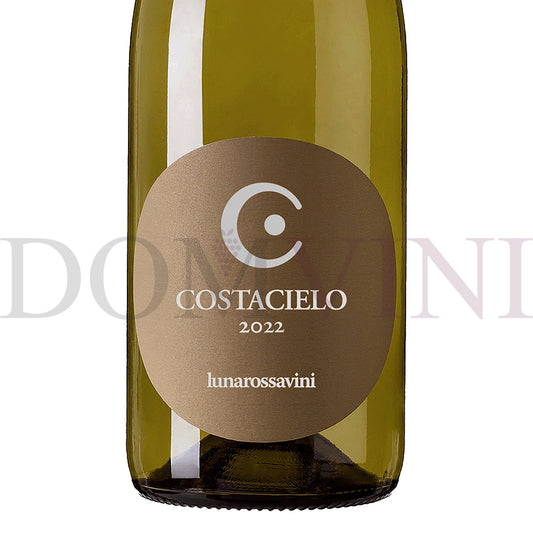 Castacielo Colli di Salerno Anfora "Fiano" IGP 2022 - Lunarossavini (24er Weinpaket)