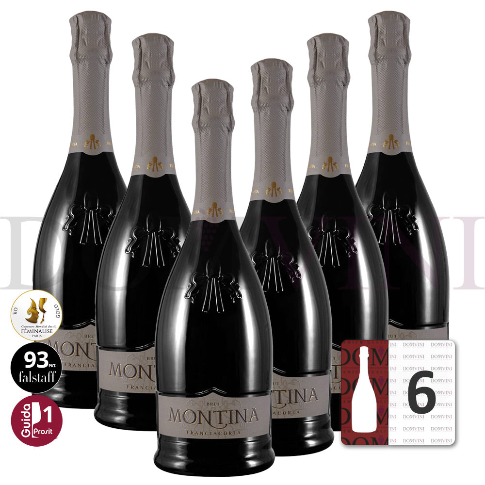 Montina Franciacorta Brut DOCG "Neue Kollektion" - 6er Schaumwein-Paket