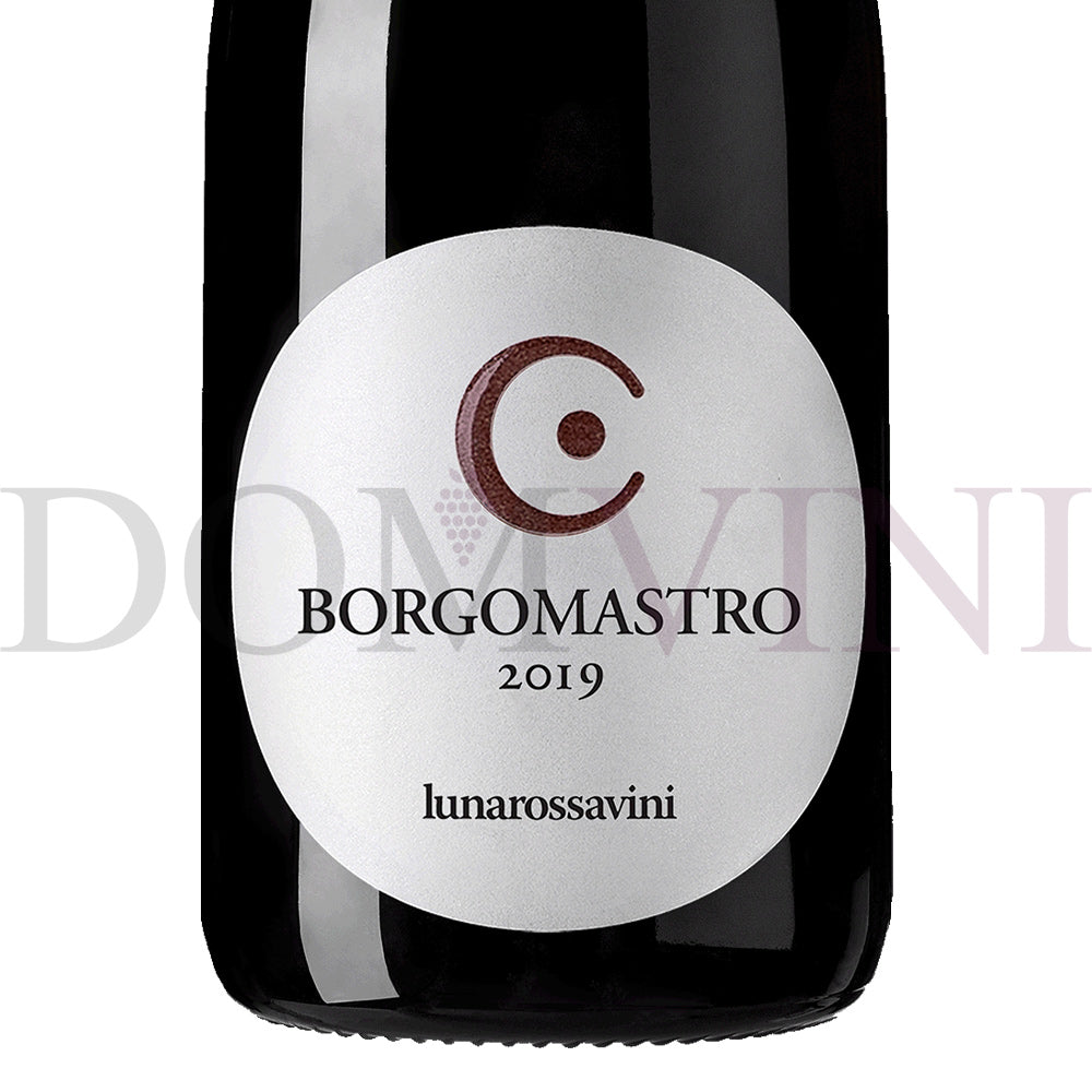 Borgomastro Colli Di Salerno "Aglianico" IGP 2019 - Lunarossavini (3er Weinpaket)