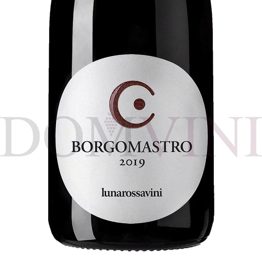 Borgomastro Colli Di Salerno "Aglianico" IGP 2019 - Lunarossavini (6er Weinpaket)