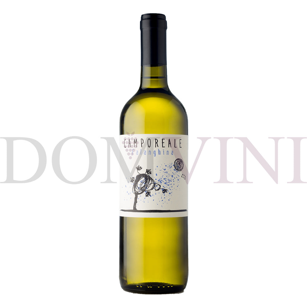 Campo Reale Campania "Falanghina" IGP 2023 - Lunarossavini