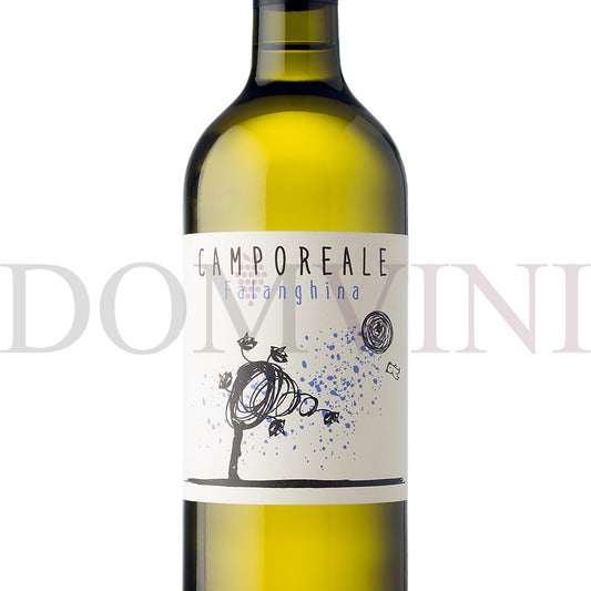 Campo Reale Campania "Falanghina" IGP 2023 - Lunarossavini (24er Weinpaket)