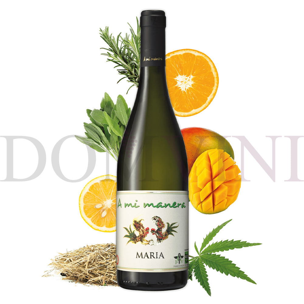 "MARIA" IGT Veneto 2023 - TENUTA VITIVINICOLA "A MI MANERA®", Wein mit Hanf-Aroma (CBD)