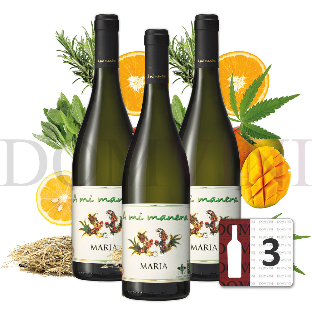 "MARIA" IGT Veneto 2023 - TENUTA VITIVINICOLA "A MI MANERA®", Wein mit Hanf-Aroma (CBD) 3er-Weinpaket