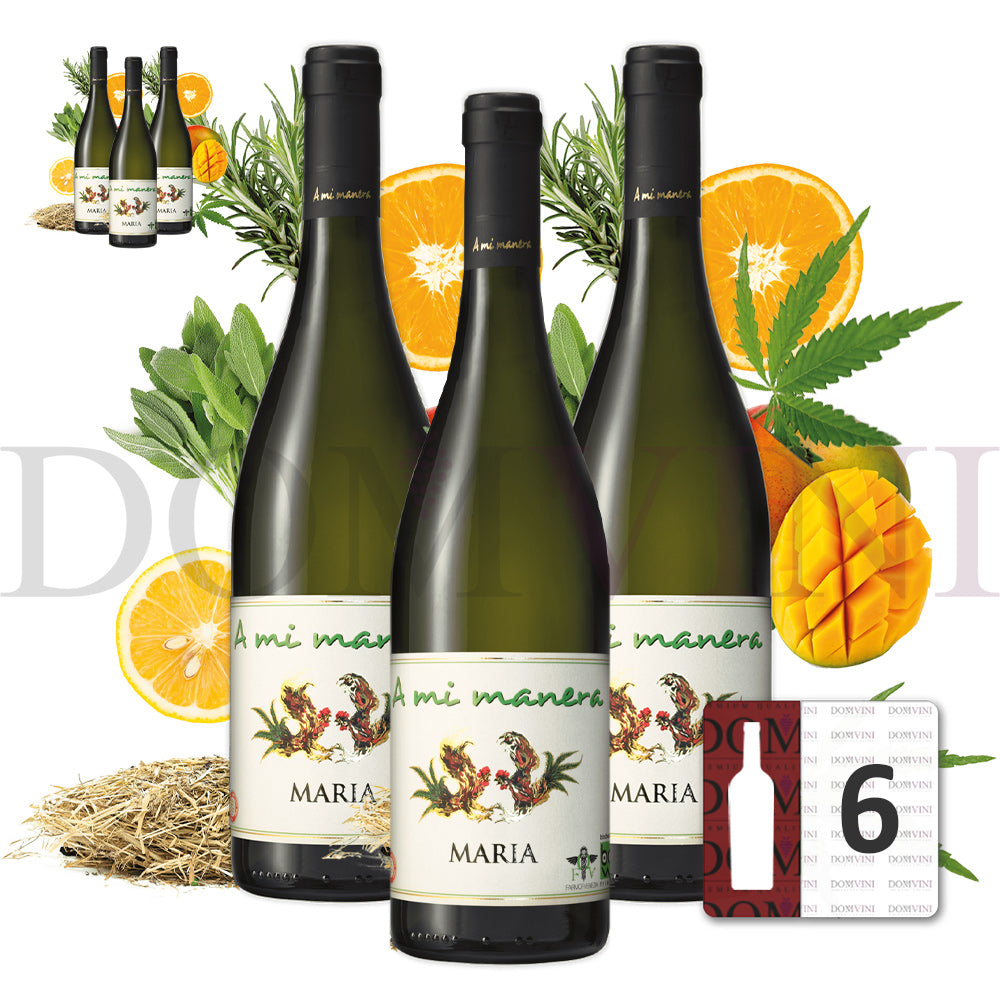 "MARIA" IGT Veneto 2023 - TENUTA VITIVINICOLA "A MI MANERA®", Wein mit Hanf-Aroma (CBD) 6er-Weinpaket