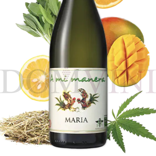 "MARIA" IGT Veneto 2023 - TENUTA VITIVINICOLA "A MI MANERA®", Wein mit Hanf-Aroma (CBD) 3er-Weinpaket