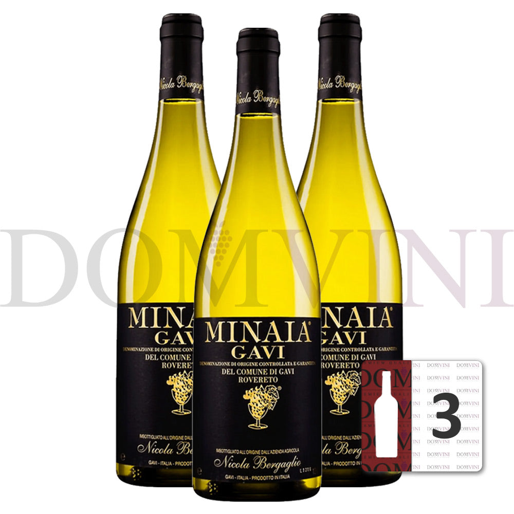 Bergaglio Gavi di Gavi DOCG "Minaia" 2023- 3er Weinpaket