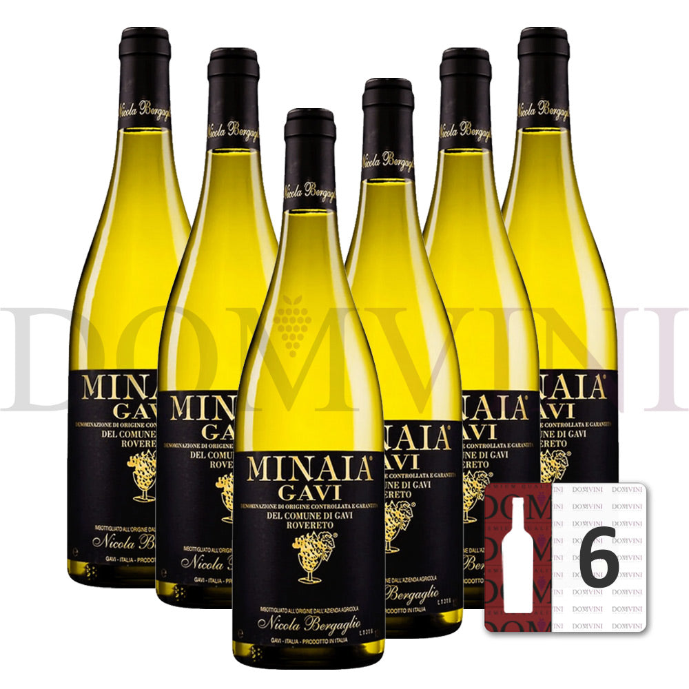 Bergaglio Gavi di Gavi DOCG "Minaia" 2023 - 6er Weinpaket