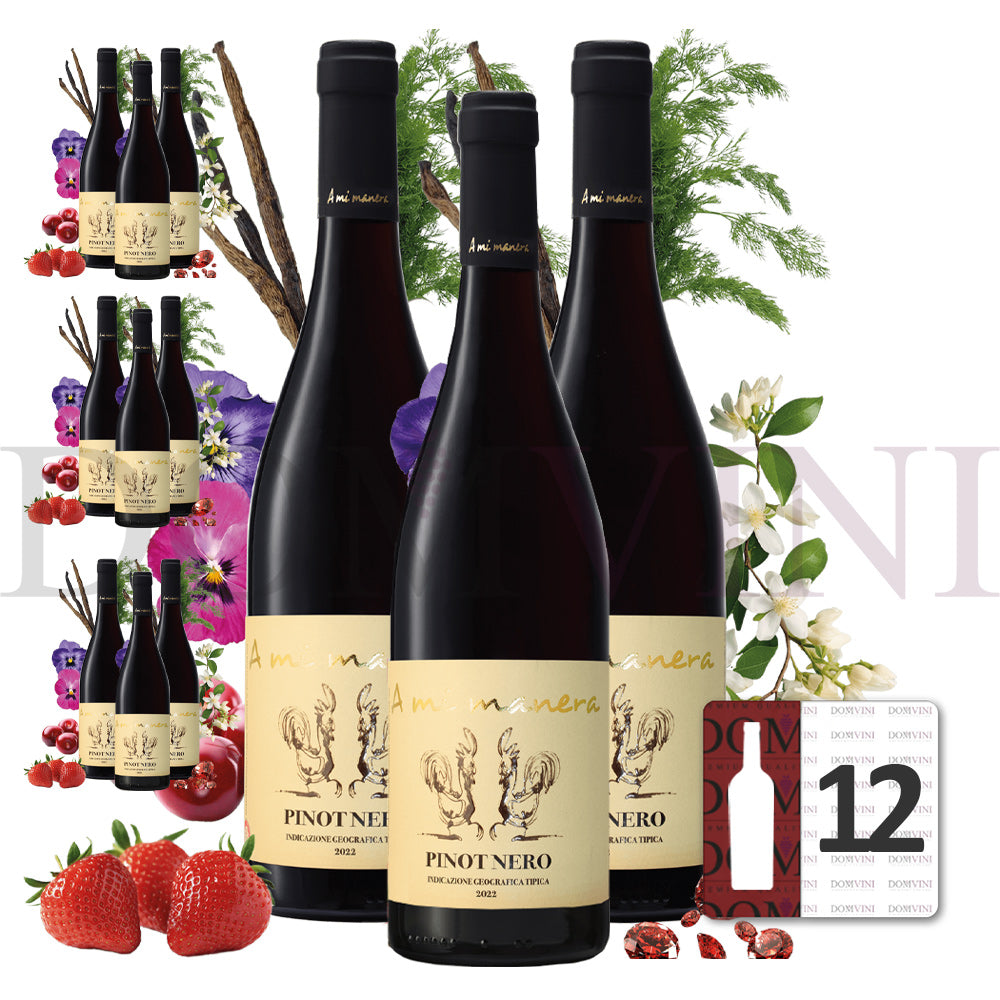 "PINOT NERO" IGT Veneto 2023 - TENUTA VITIVINICOLA "A MI MANERA®" 12er-Weinpaket