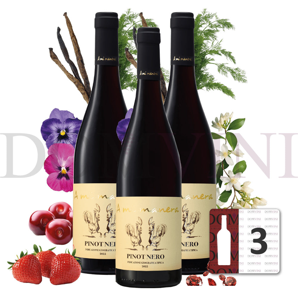 "PINOT NERO" IGT Veneto 2023 - TENUTA VITIVINICOLA "A MI MANERA®" 3er-Weinpaket