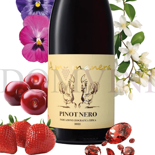 "PINOT NERO" IGT Veneto 2023 - TENUTA VITIVINICOLA "A MI MANERA®" 12er-Weinpaket