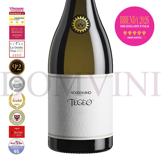 "TEGEO" Pecorino Abruzzo Superiore DOC 2022 | NODODIVINO (6er Weinpaket)