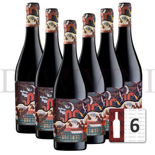 Appassimento Rosso Veneto IGT Passito 2023 (Marco Polo Edition), DOMINI VENETI - 6er Weinpaket