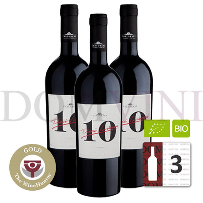 CASTORANI "Dieci Inverni" Rosso Colline Pescaresi IGT Bio 2012 in 1er OHK - 3er Weinpaket