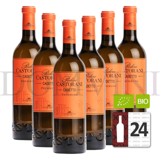 CASTORANI "Podere Castrorani" Cadetto Pecorino Colline Pescaresi IGT Bio 2022 - 24er Weinpaket