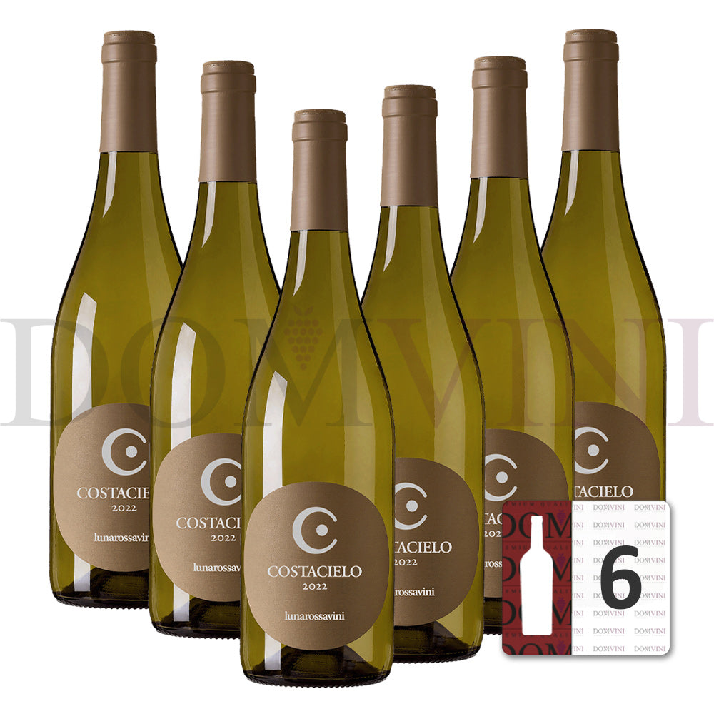Castacielo Colli di Salerno Anfora "Fiano" IGP 2022 - Lunarossavini (6er Weinpaket)