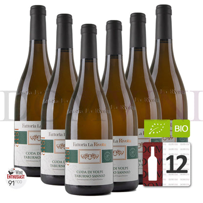 Fattoria La Rivolta Coda di Volpe „TABURNO SANNINO“ DOP 2022 Bio - 12er Weinpaket