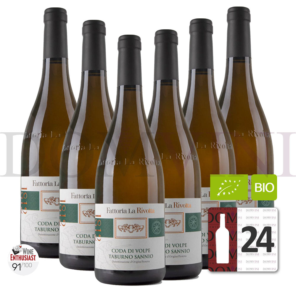 Fattoria La Rivolta Coda di Volpe „TABURNO SANNINO“ DOP 2022 Bio - 24er Weinpaket