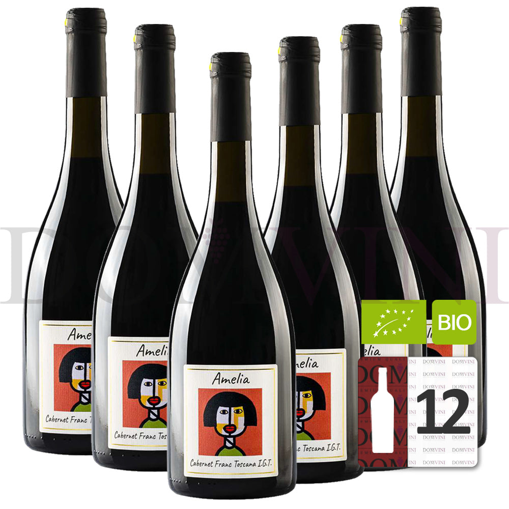 GLI ARCHI "Amelia" Cabernet Franc Toscana IGT 2020 Bio - 12er Weinpaket