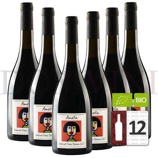 GLI ARCHI "Amelia" Cabernet Franc Toscana IGT 2020 Bio - 12er Weinpaket