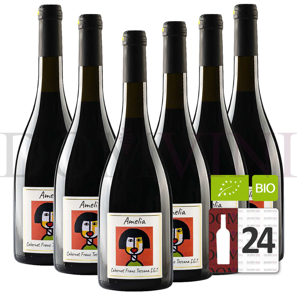 GLI ARCHI "Amelia" Cabernet Franc Toscana IGT 2020 Bio - 24er Weinpaket