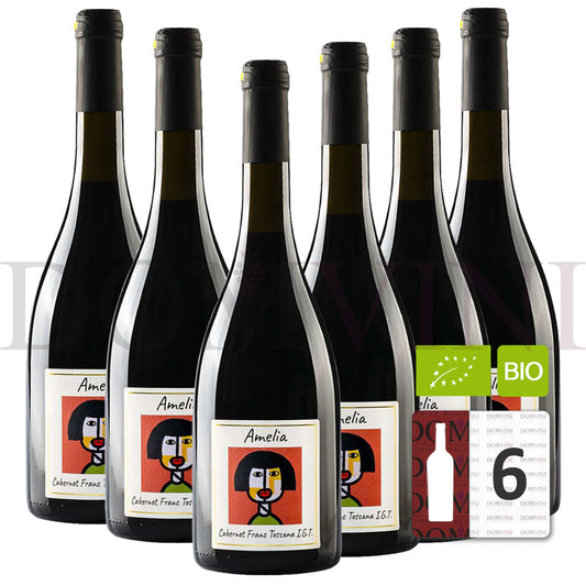 GLI ARCHI "Amelia" Cabernet Franc Toscana IGT 2020 Bio - 6er Weinpaket