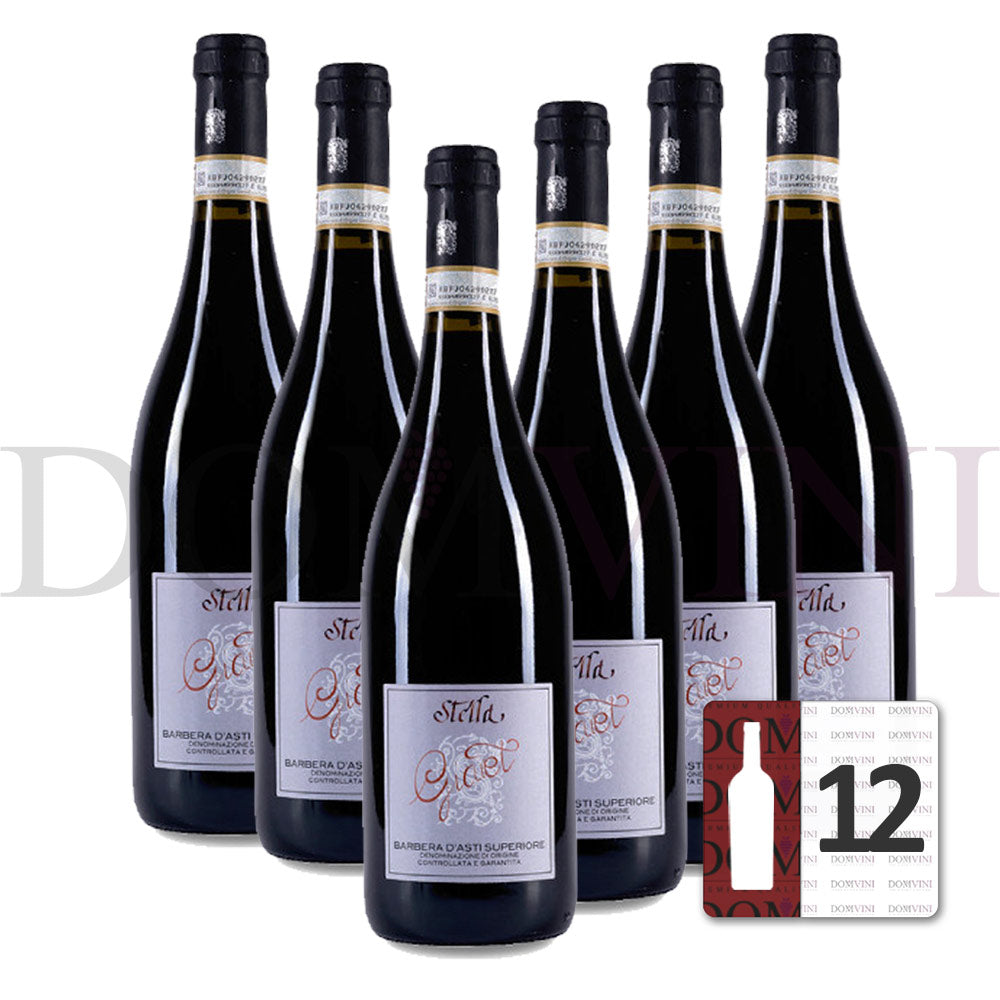 Barbera d’Asti Superiore “Giaiet” DOCG 2022 - Stella Giuseppe (12er Weinpaket)