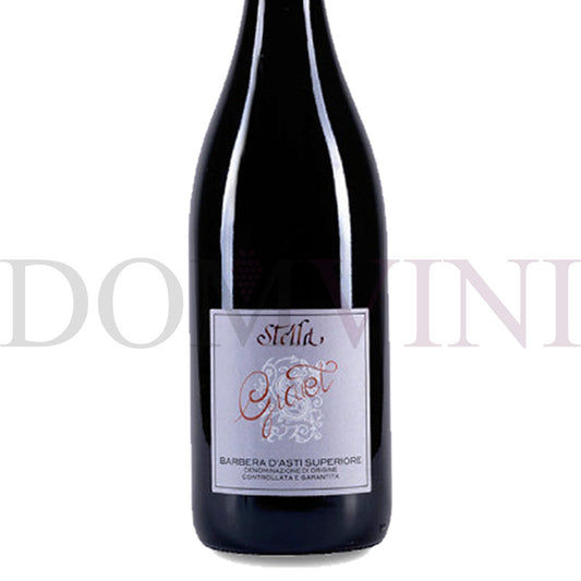 Barbera d’Asti Superiore “Giaiet” DOCG 2022 - Stella Giuseppe