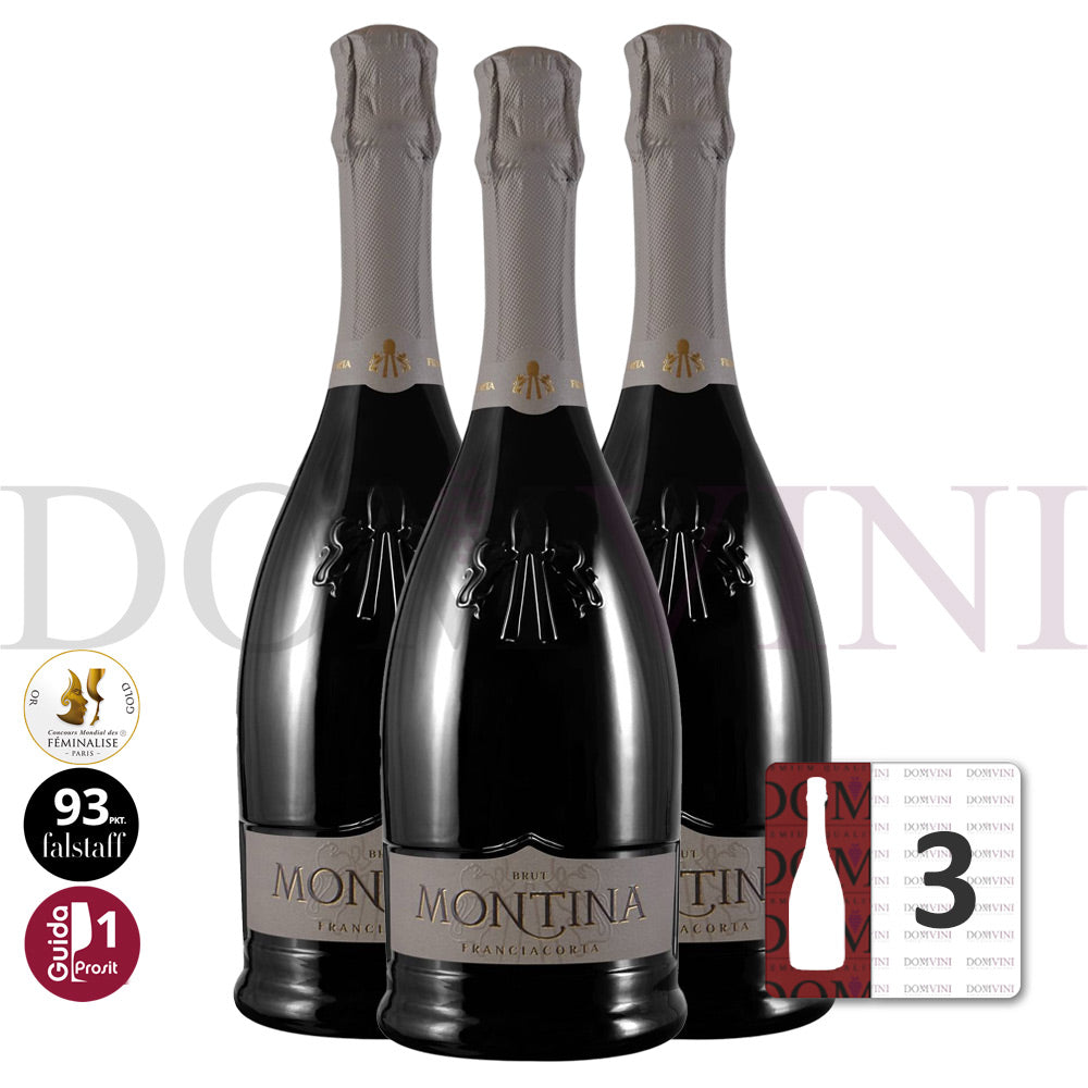 Montina Franciacorta Brut DOCG "Neue Kollektion" - 3er Schaumwein-Paket