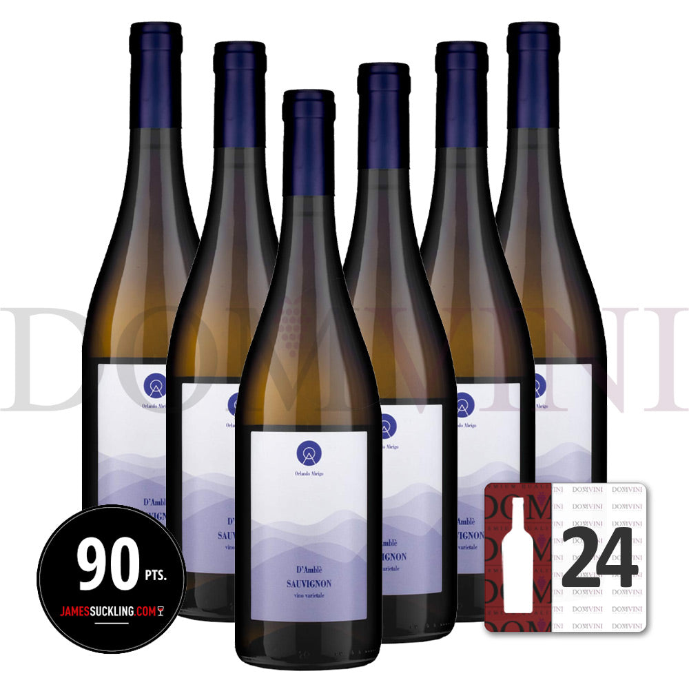 ORLANDO ABRIGO "D’Amblè" Sauvignon Langhe DOC 2021 - 24er Weinpaket