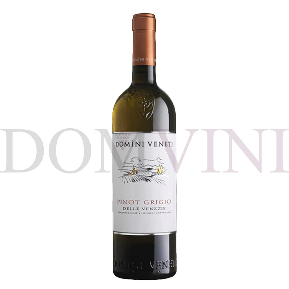 Pinot Grigio delle Venezie DOC 2024, DOMINI VENETI