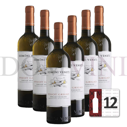 Pinot Grigio delle Venezie DOC 2024, DOMINI VENETI  - 12er Weinpaket
