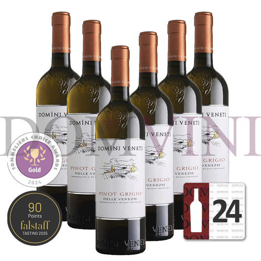 Pinot Grigio delle Venezie DOC 2024, DOMINI VENETI  - 24er Weinpaket
