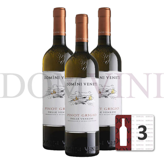Pinot Grigio delle Venezie DOC 2024, DOMINI VENETI  - 3er Weinpaket