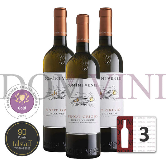 Pinot Grigio delle Venezie DOC 2024, DOMINI VENETI  - 3er Weinpaket