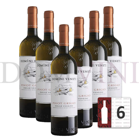 Pinot Grigio delle Venezie DOC 2024, DOMINI VENETI  - 6er Weinpaket