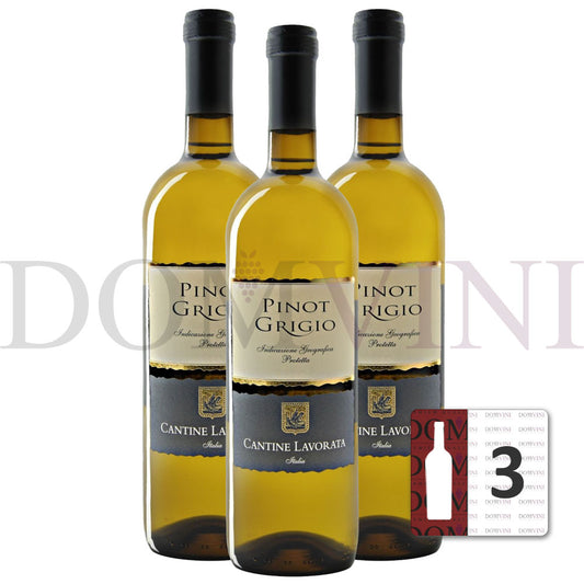 Pinot Grigio IGP Terre Siciliane 2023 - Cantine Lavorata - 3er Weinpaket