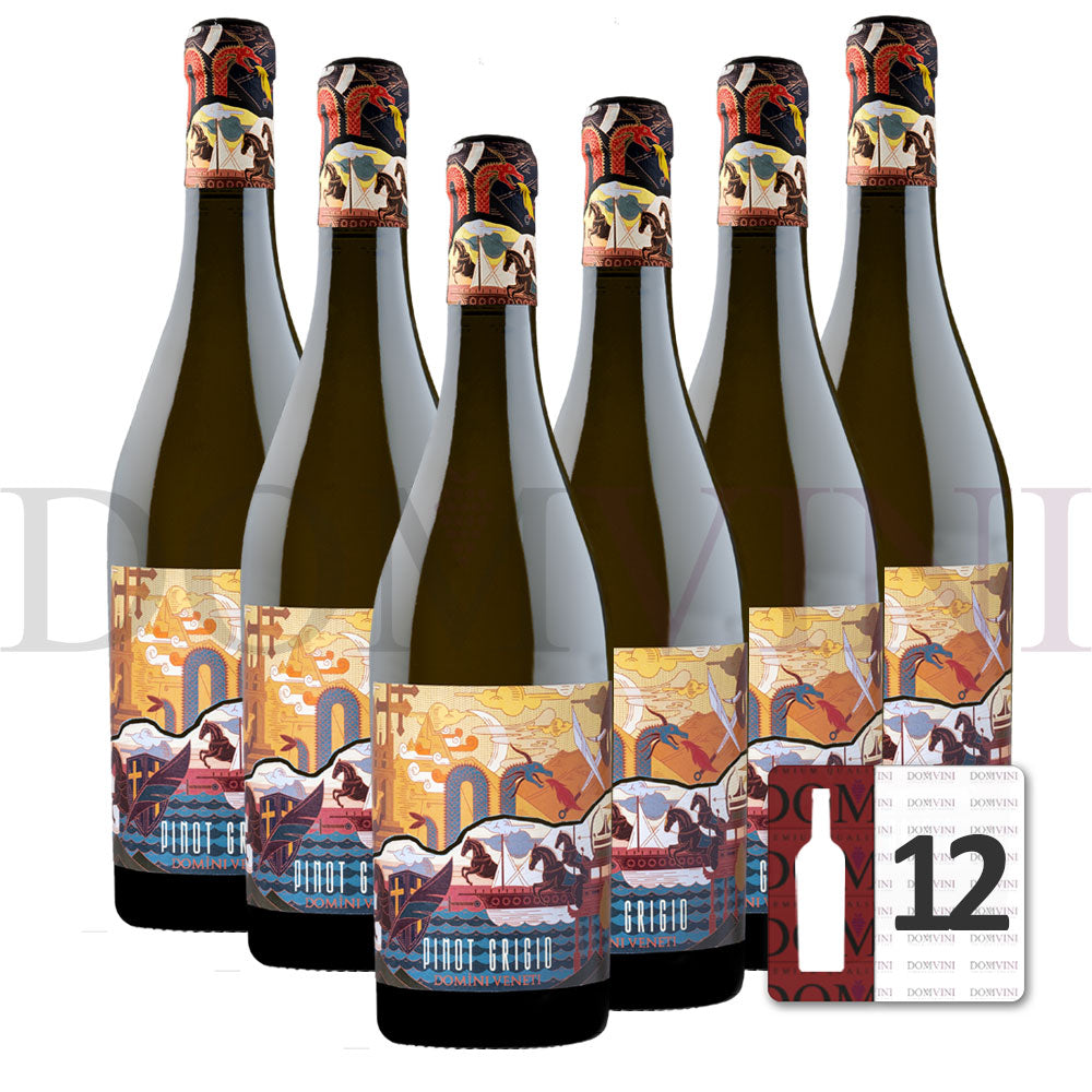 Pinot Grigio delle Venezie DOC 2023 (Marco Polo Edition), DOMINI VENETI - 12er Weinpaket