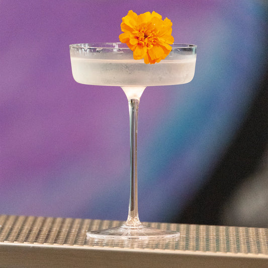 Sam "Coupette Martini" 16cl (Design Samuele Ambrosi) zafferano (4er-Set)