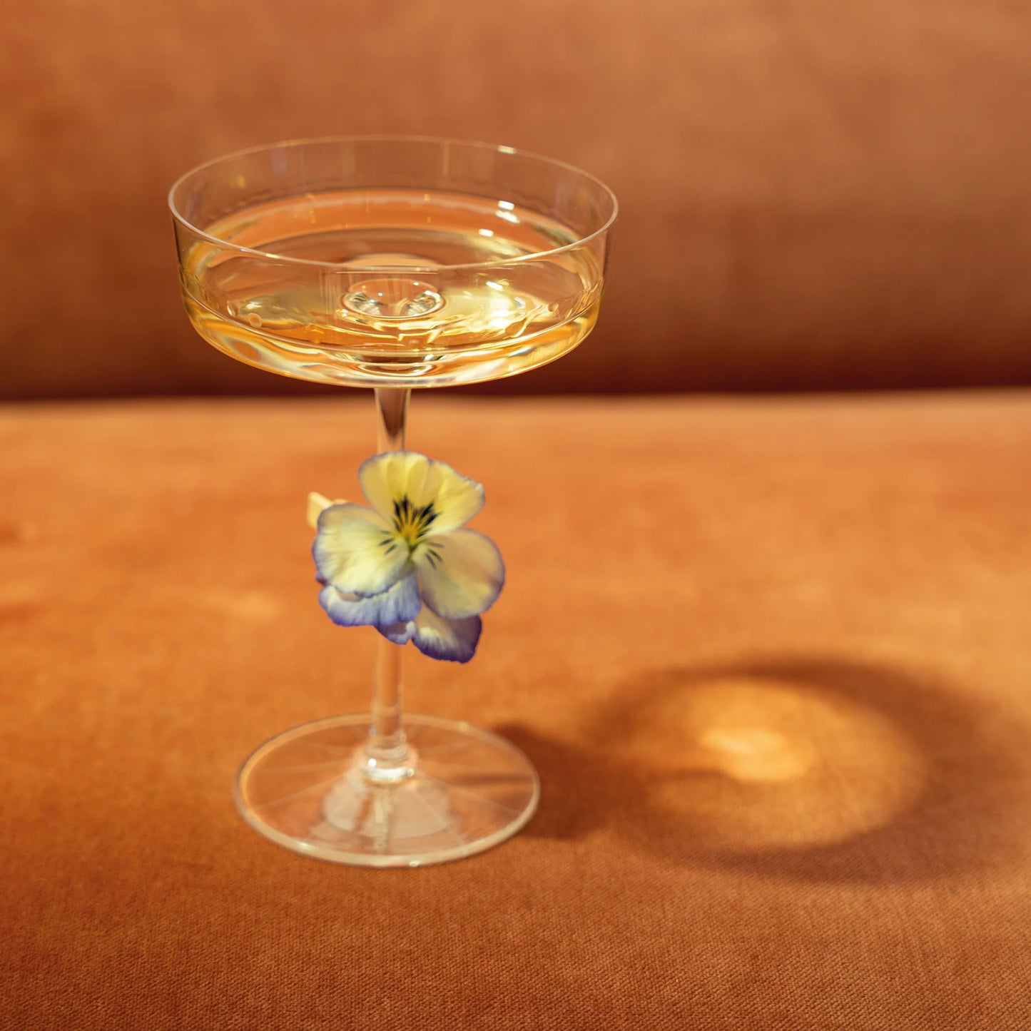 Sam "Coupette Martini" 16cl (Design Samuele Ambrosi) zafferano (4er-Set)