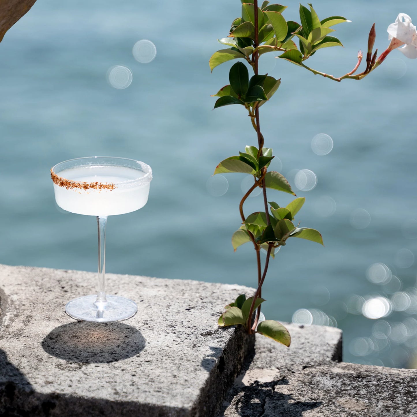 Sam "Coupette Martini" 16cl (Design Samuele Ambrosi) zafferano (4er-Set)