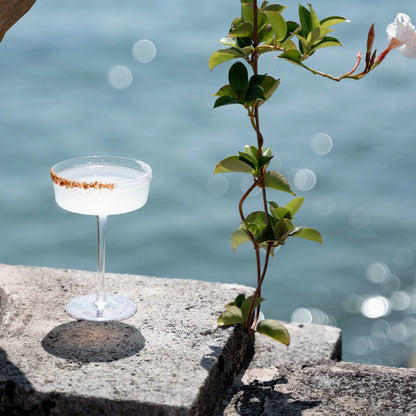 Sam "Coupette Martini" 16cl (Design Samuele Ambrosi) zafferano (4er-Set)