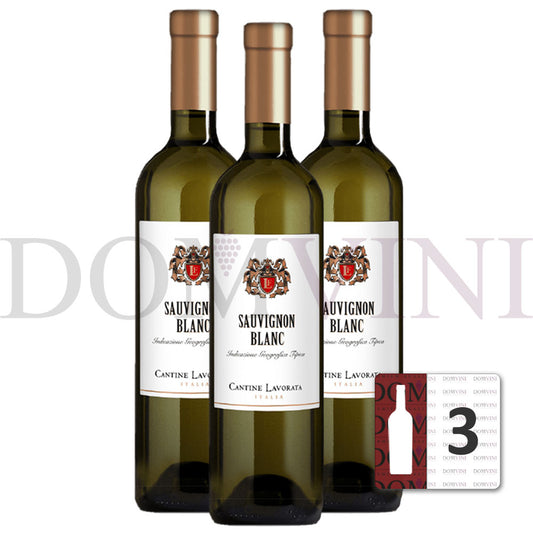 Sauvignon Blanc IGT Terre Siciliane 2023, Cantine Lavorata - 3er Weinpaket