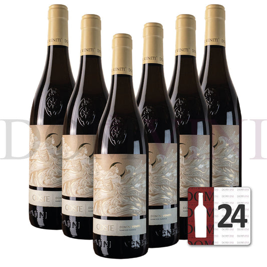 Soave Classico DOC 2023 Coste Europa, DOMINI VENETI - 24er Weinpaket