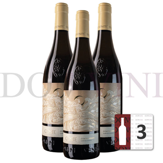 Soave Classico DOC 2023 Coste Europa, DOMINI VENETI - 3er Weinpaket