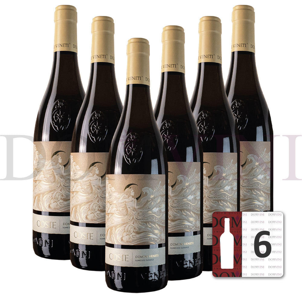 Soave Classico DOC 2023 Coste Europa, DOMINI VENETI - 6er Weinpaket