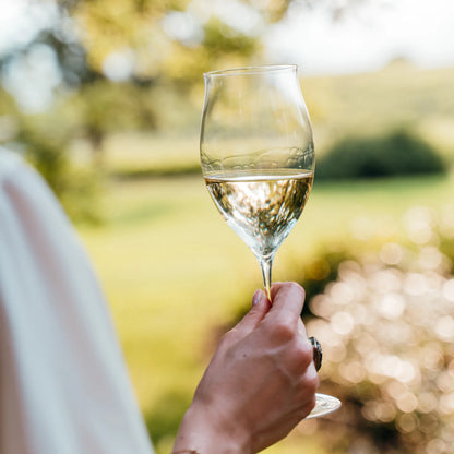 Ultralight handgefertigt 51cl (Design Federico de Majo) zafferano (2er-Set)