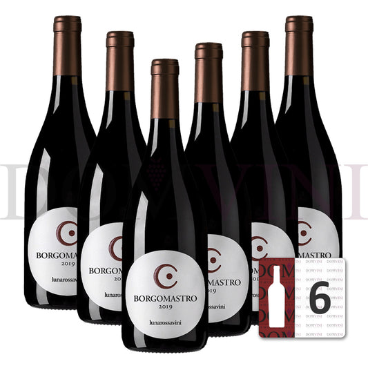 Borgomastro Colli Di Salerno "Aglianico" IGP 2019 - Lunarossavini (6er Weinpaket)